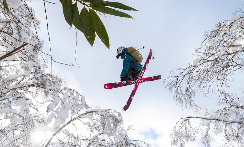 Skis
